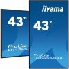 IIYAMA Monitor 43 cale LH4365UHSB-B1 24/7, IPS, ANDROID 11, 4K, 800cd, iiSignage2, SDM, 2x HDMI, DP, 2x USB,2x 10W, RJ45, WiFi, 